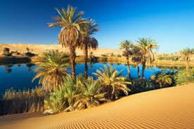 deserto_tres